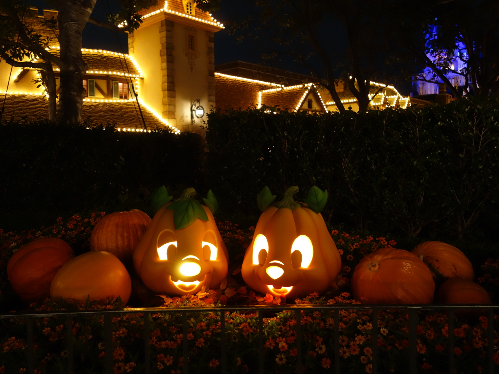 f:id:asami-1120:20131018221357j:image:w300