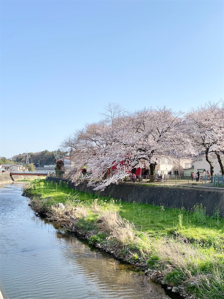 f:id:asamichandayo:20200330185949j:image