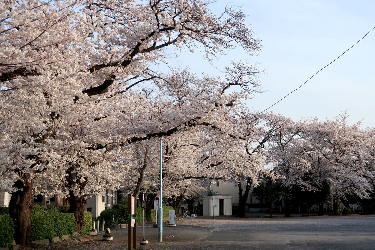 f:id:asamiouba:20210330000701j:plain