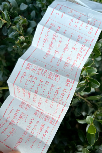 f:id:asamiouba:20220104192952j:plain