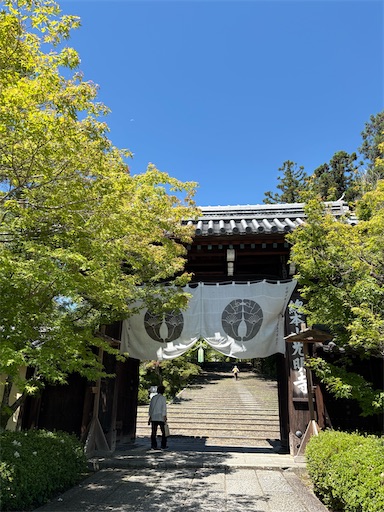 f:id:asamiyaj:20260610201146j:image