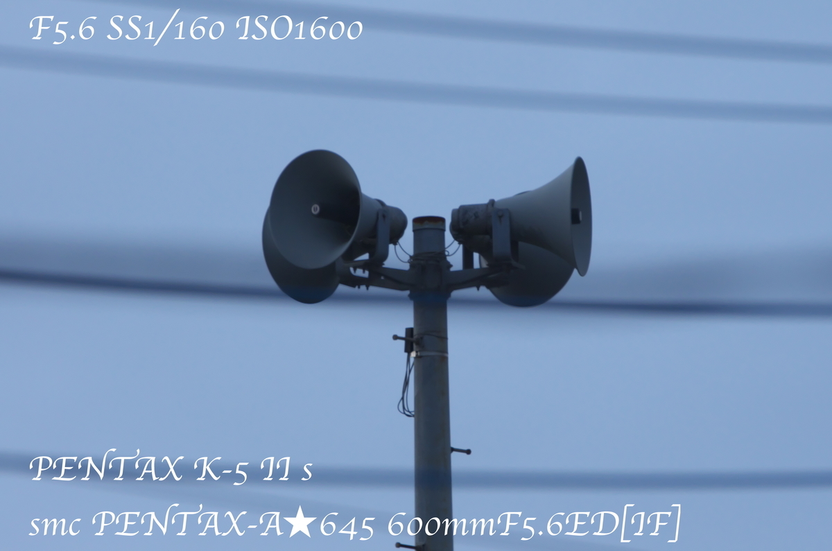 f:id:asamizuya:20200422234434j:plain