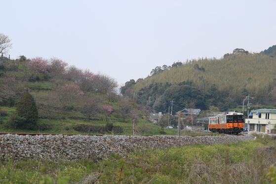 イメージ 2