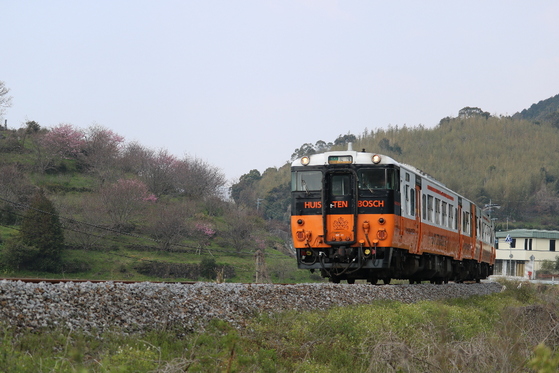 イメージ 3