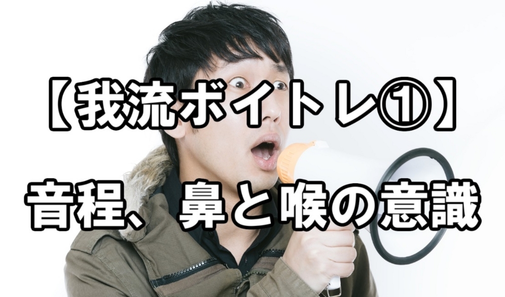 我流ボイトレ 音程 鼻と喉の意識 歌がうまくなるためには ちょっとだけ冒険記