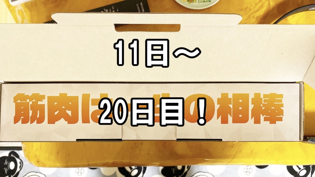 f:id:asamushi:20191220214343j:plain