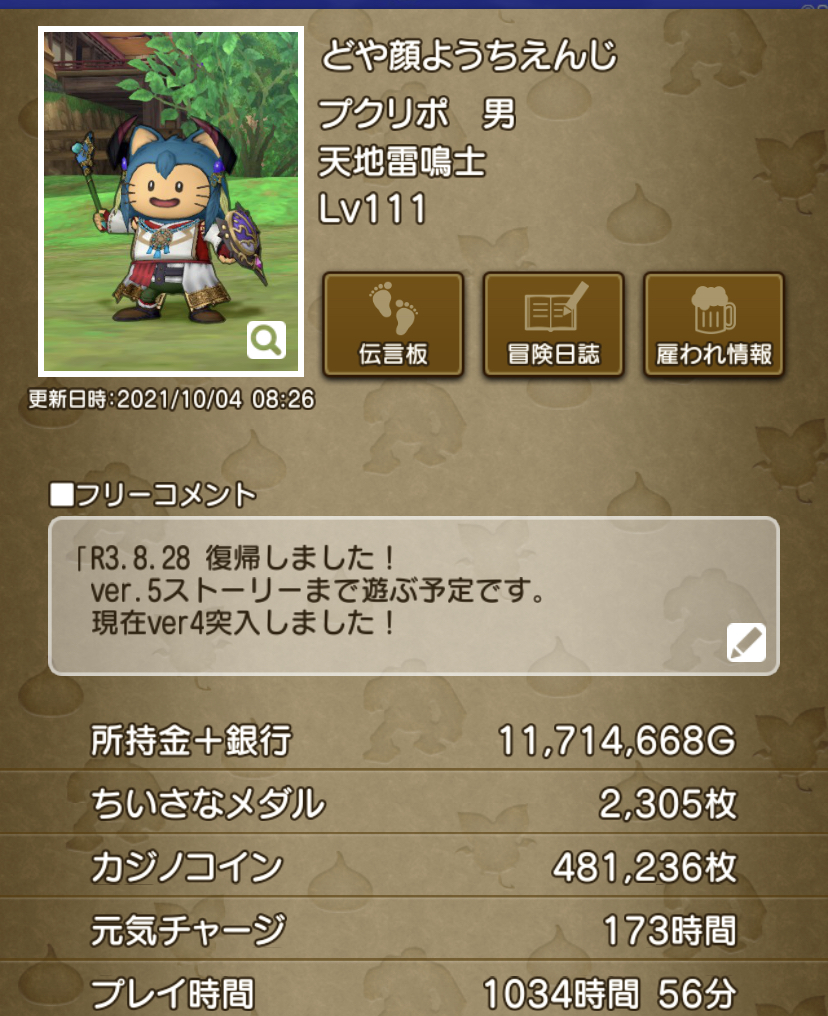 ５年ぶり復帰】ドラクエⅩが改善されて面白くなった点について語る【ver5.5】 - ちょっとだけ冒険記