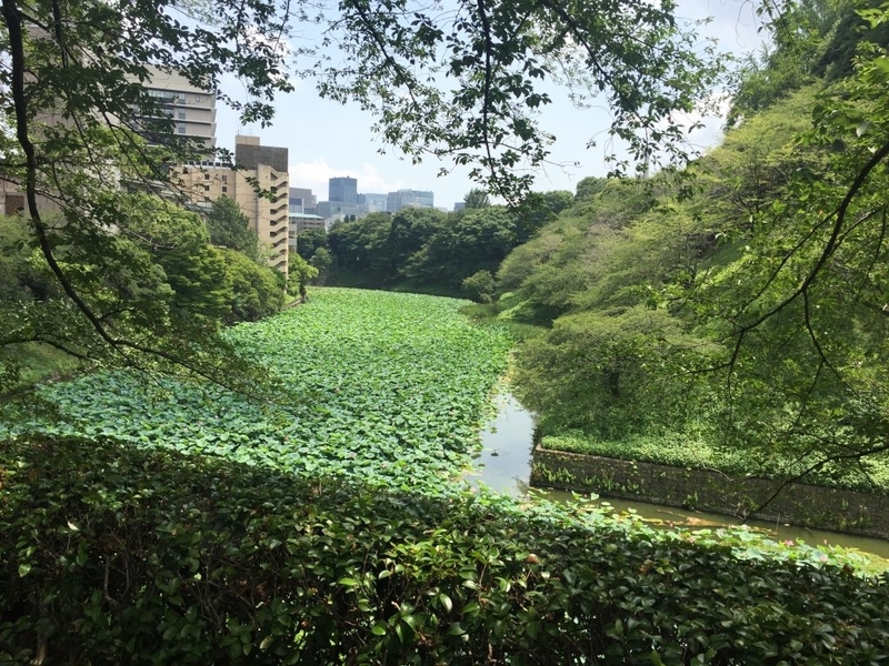 北の丸公園