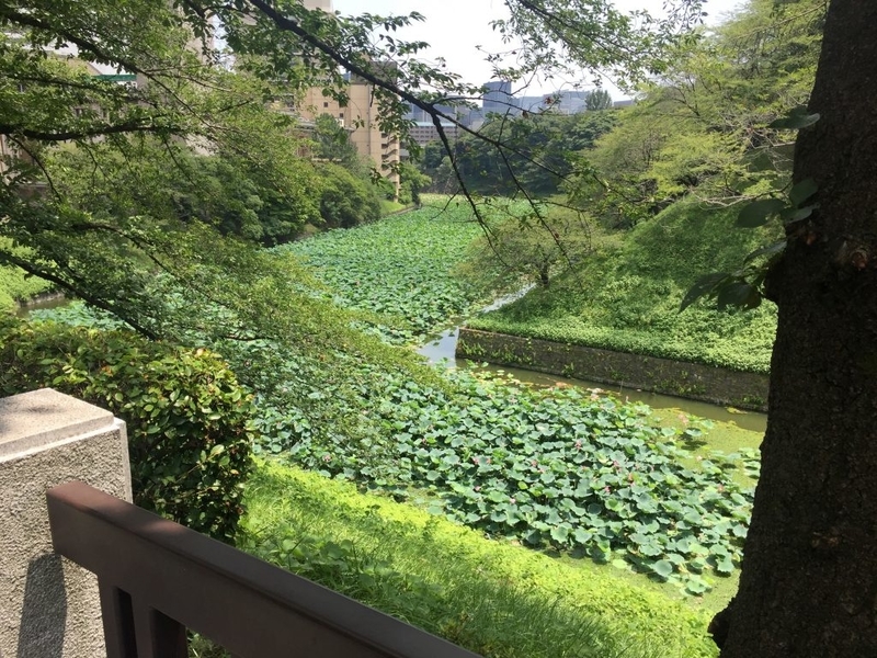 北の丸公園