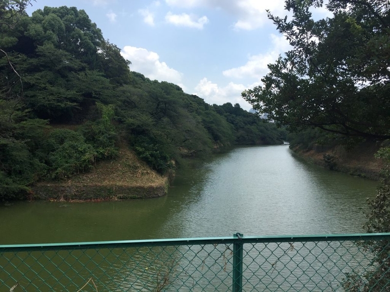 北の丸公園