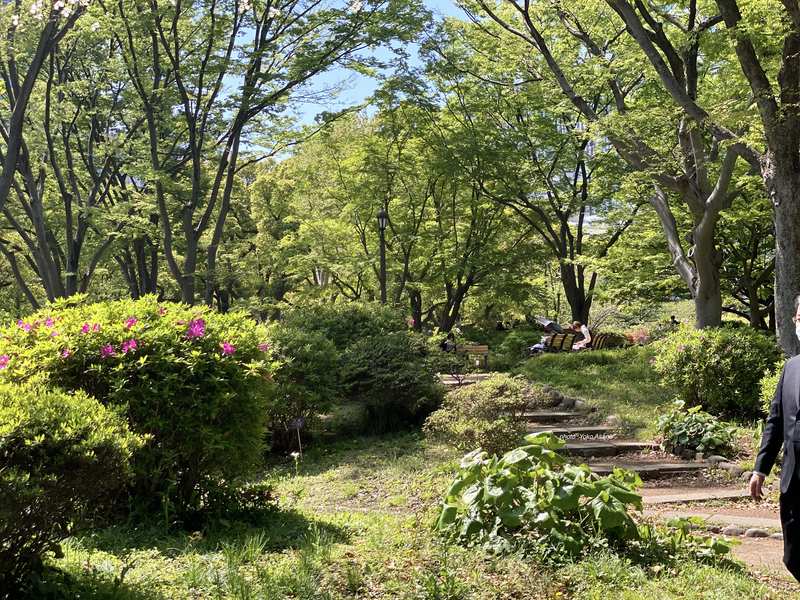 日比谷公園