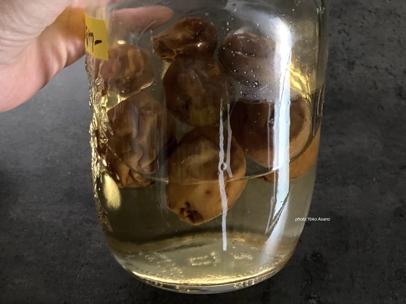 梅サワーを作る画像