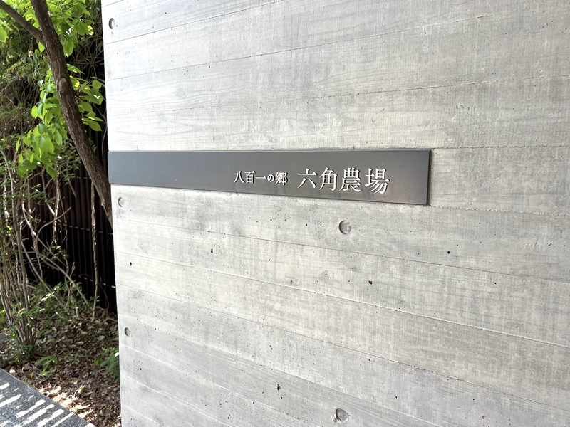 八百一本館の画像