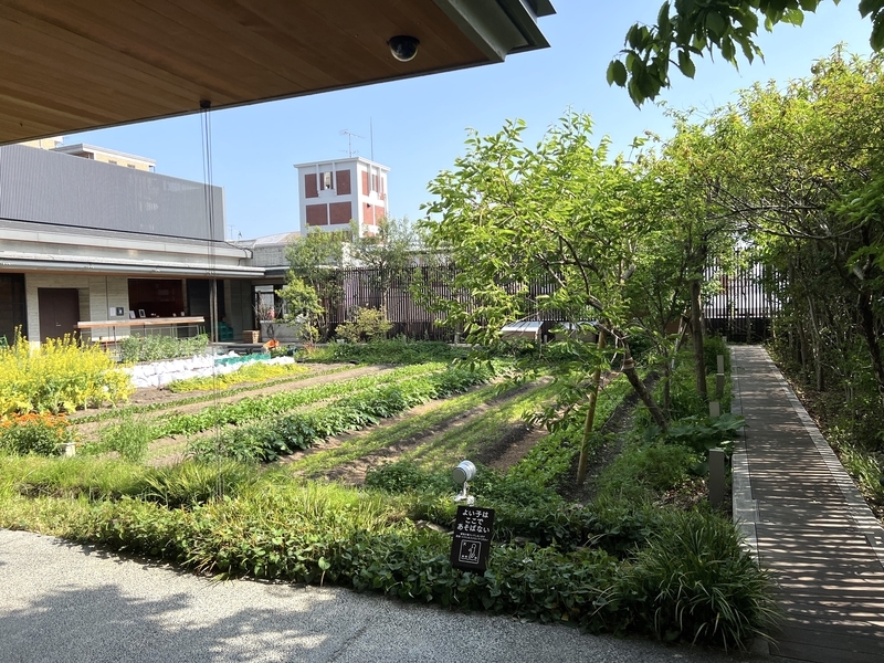 八百一本館の画像
