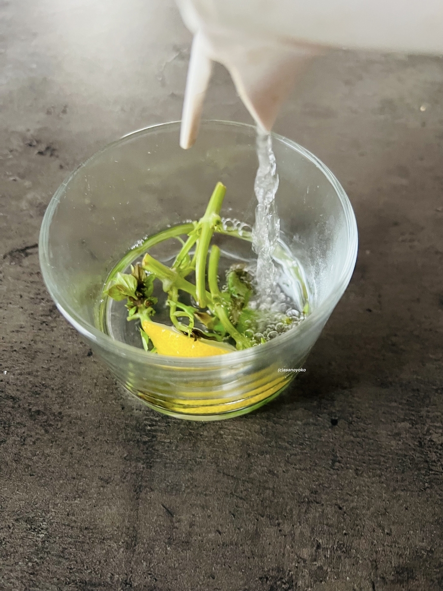 即席ハーブティーの画像