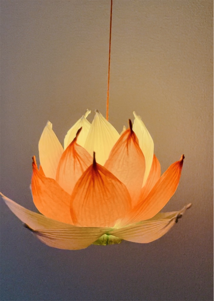 f:id:asanoha-manabiya:20241030221254j:image f:id:asanoha-manabiya:20241030221254j:image
