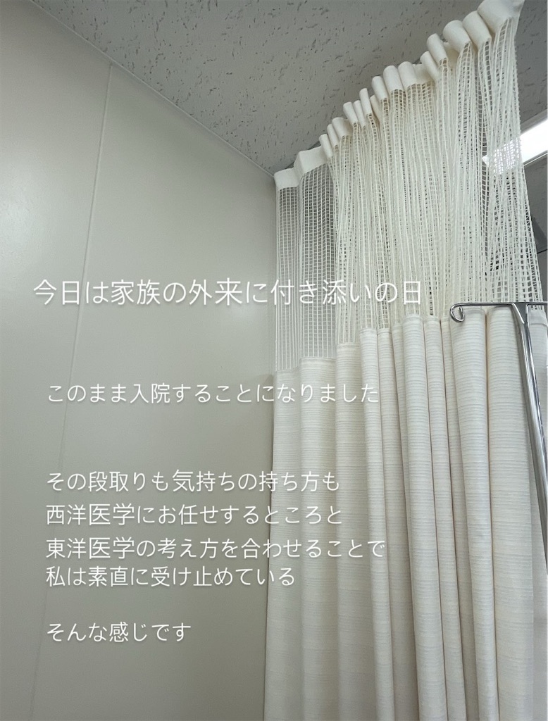 f:id:asanoha-manabiya:20250220131843j:image