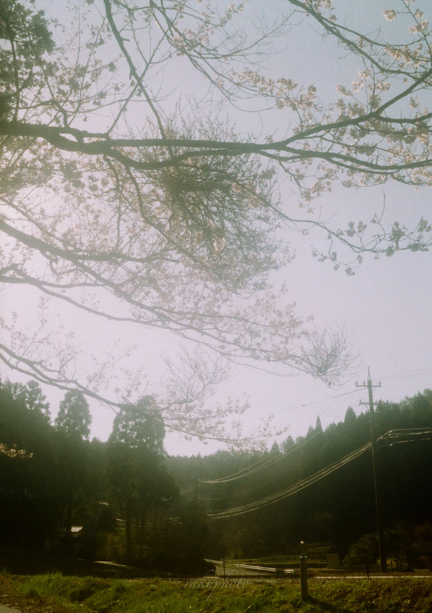 思い出は箪笥の中に OLYMPUS PEN EES-2 - らくふぉと。