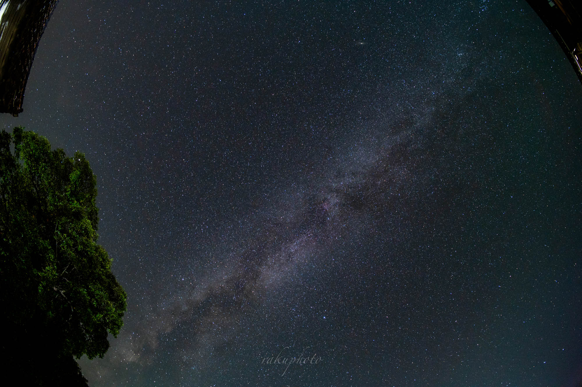 f:id:asanokawa:20211027194737j:plain