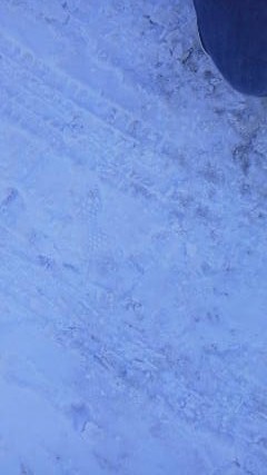 f:id:asanomadai:20170128233623j:plain