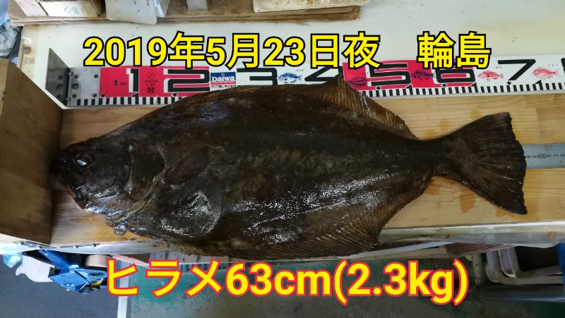 磯でヒラメ つり具センターあさの 磯でヒラメ つり具センターあさの