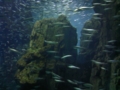20101204212041
