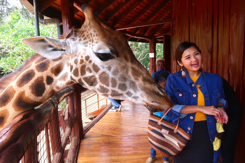 濃厚キッス】キリンと急接近！日本では味わえない体験ができる＜ジラフ