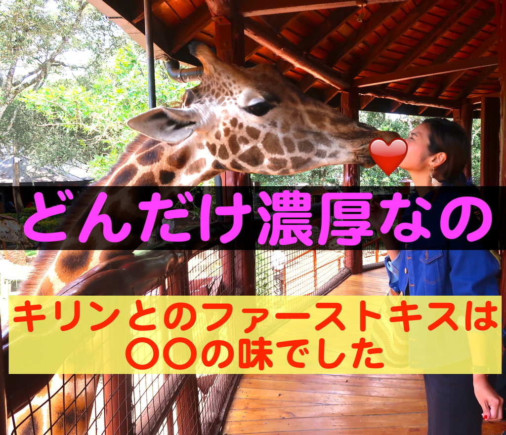 濃厚キッス】キリンと急接近！日本では味わえない体験ができる＜ジラフ