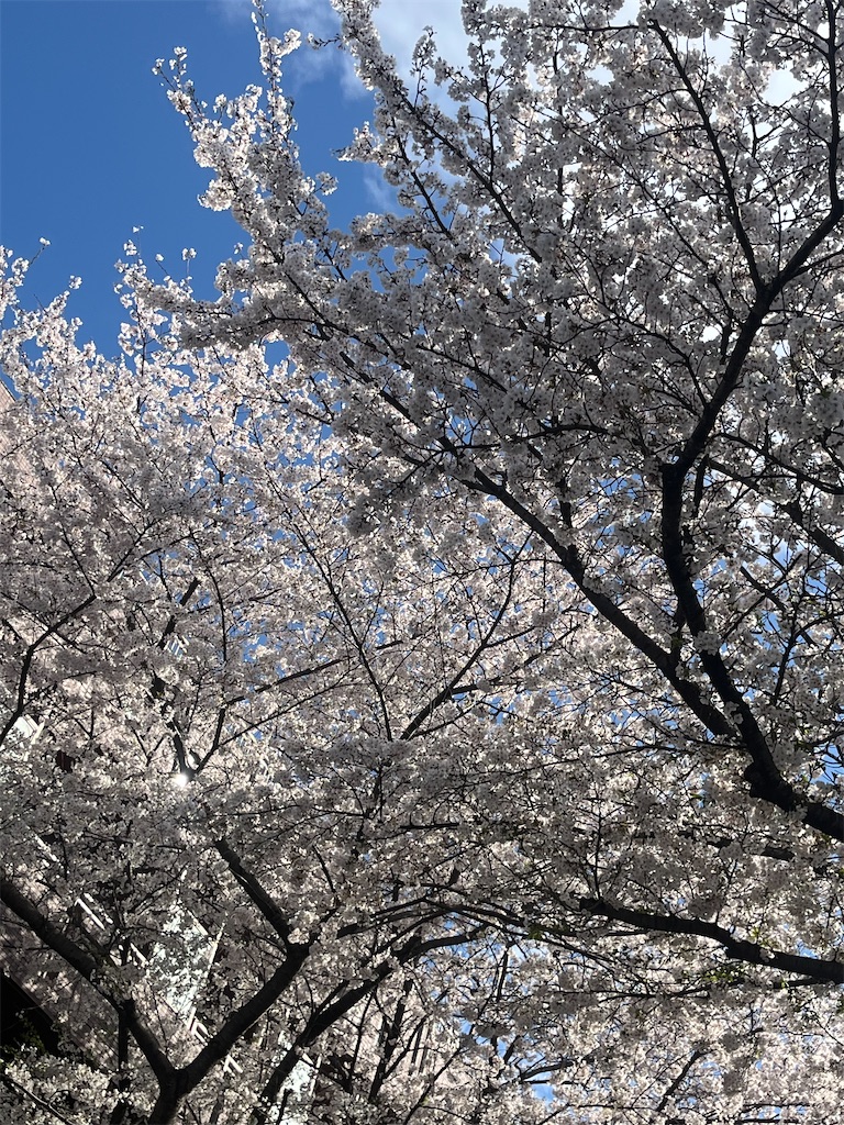 f:id:asaosan:20251228084412j:image