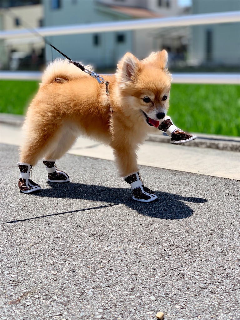 f:id:asapon-namber9:20190922232507j:image