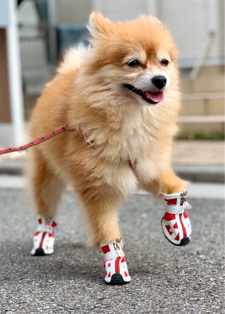 f:id:asapon-namber9:20190922232855j:image