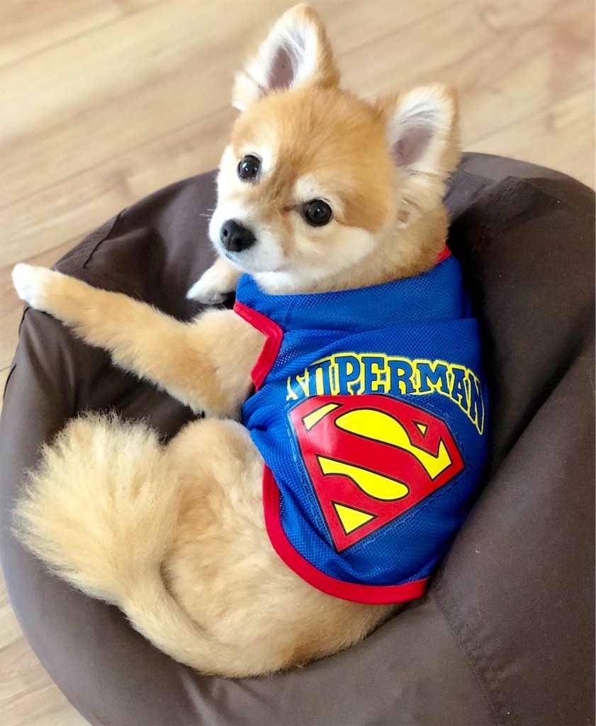 f:id:asapon-namber9:20190922235304j:image