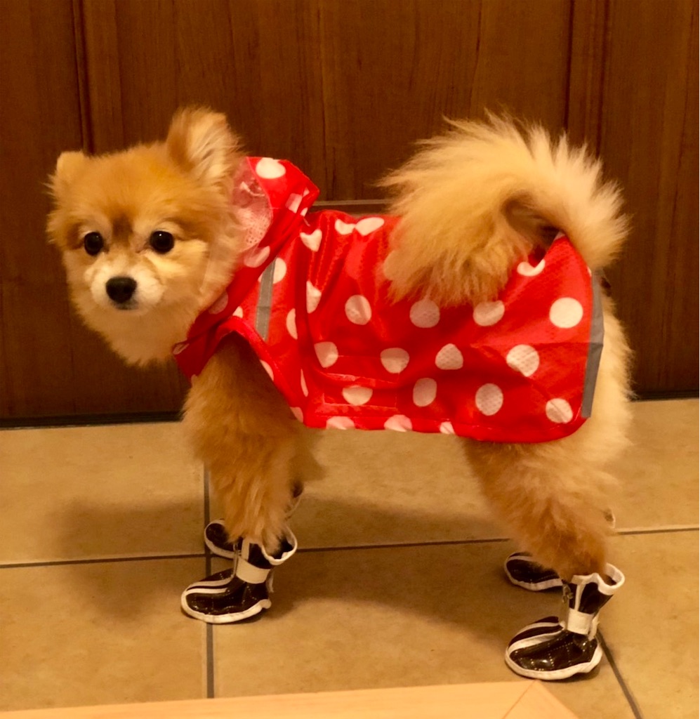 f:id:asapon-namber9:20190923000824j:image