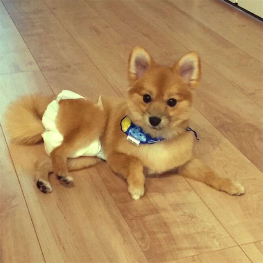 f:id:asapon-namber9:20190923001402j:image