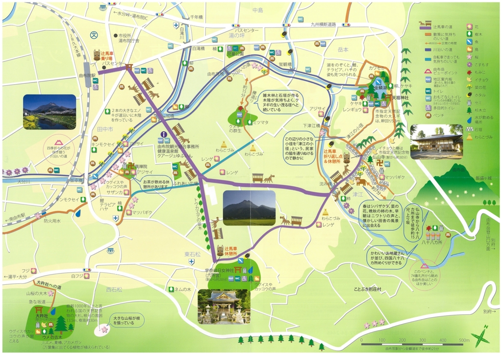 湯布院の辻馬車は本当におすすめ 雨の日の運行 予約の仕方を聞いたよ ゆふどこ