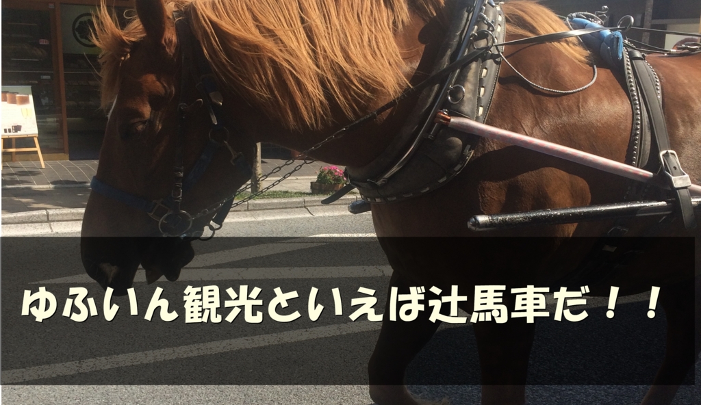 湯布院の辻馬車は本当におすすめ 雨の日の運行 予約の仕方を聞いたよ ゆふどこ