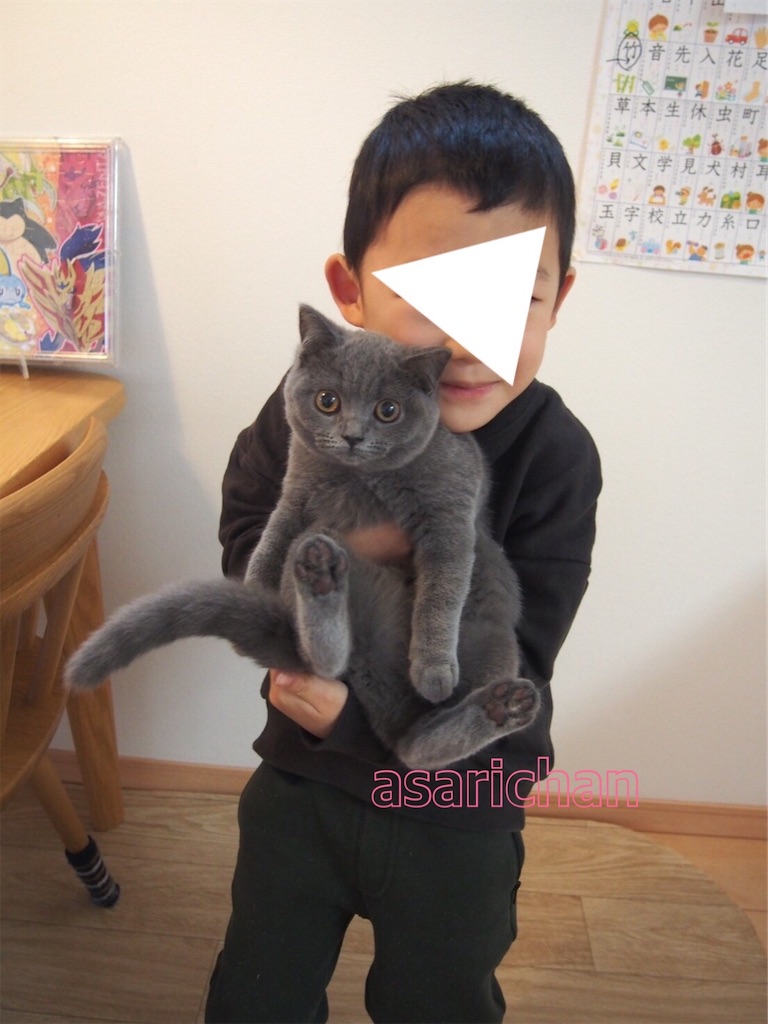 f:id:asarinokaasan:20210527132845j:image