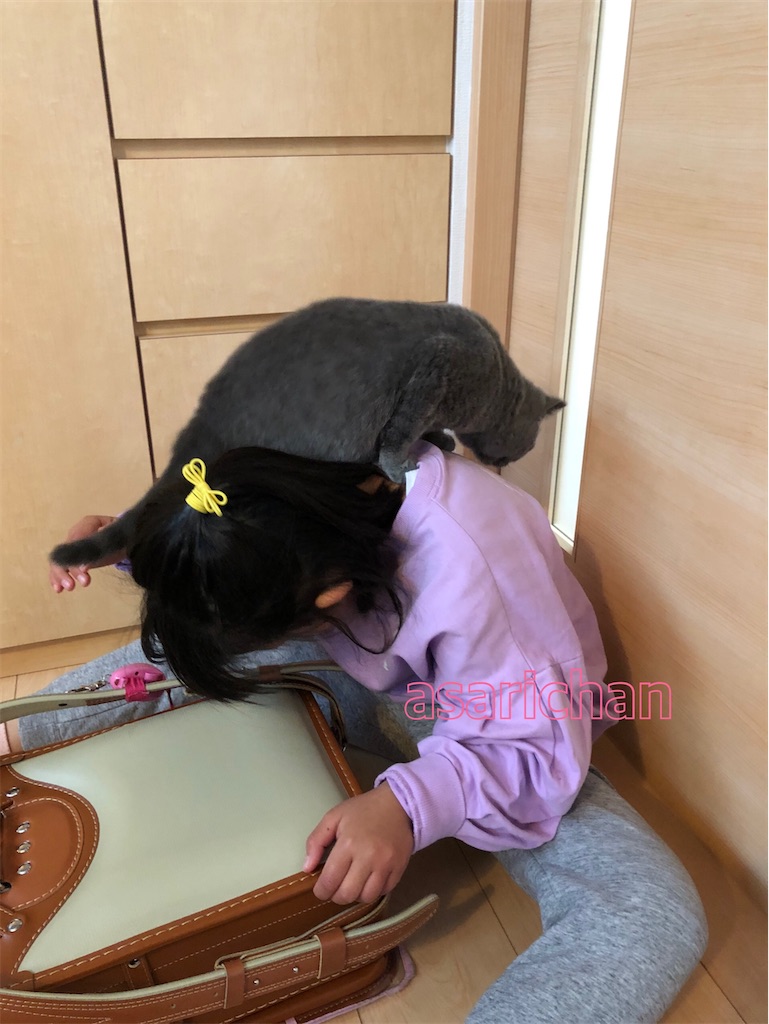 f:id:asarinokaasan:20210527142341j:image