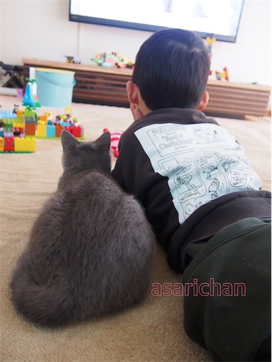 f:id:asarinokaasan:20210614132902j:image f:id:asarinokaasan:20210614132902j:image