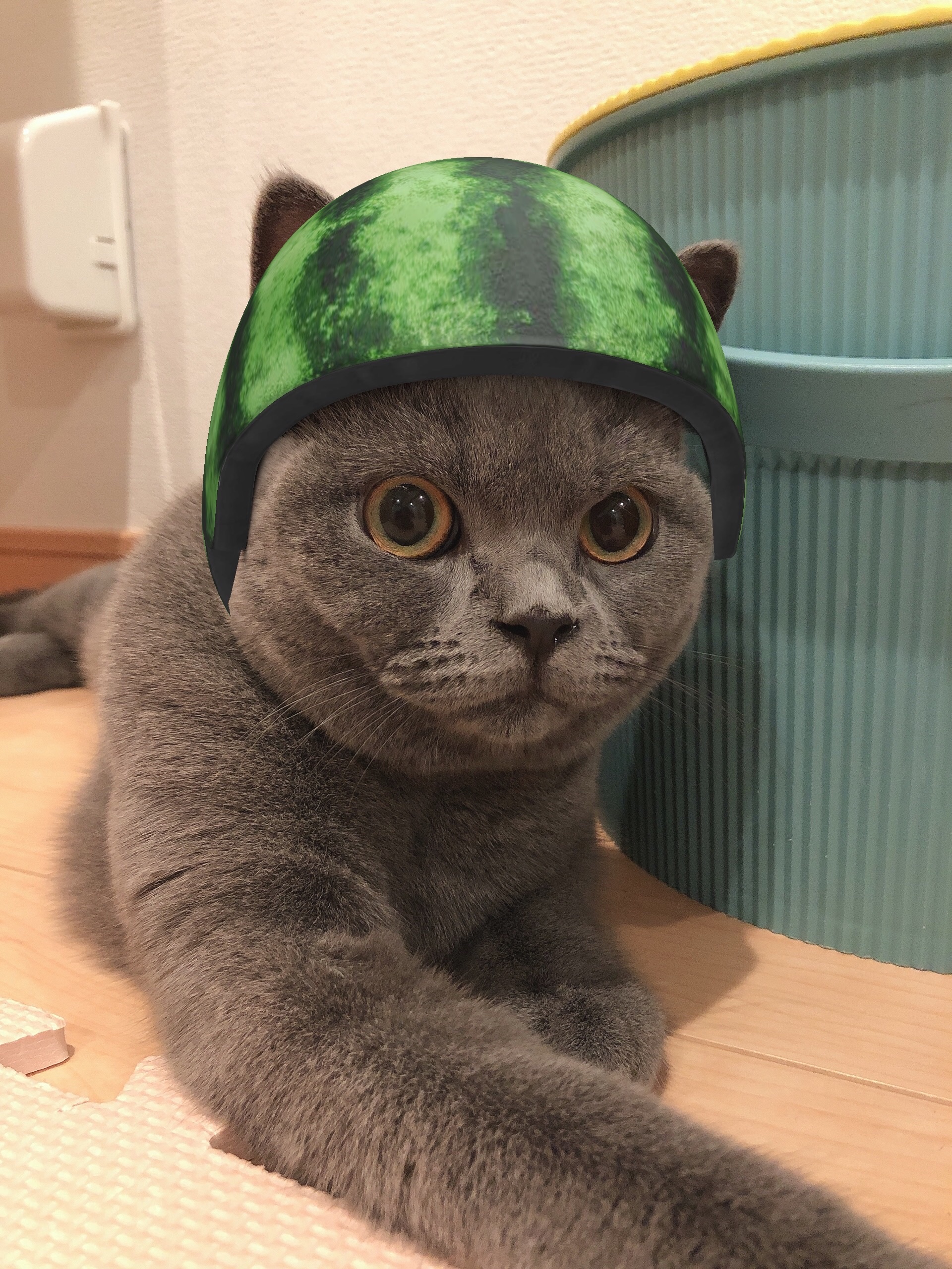 f:id:asarinokaasan:20210712132014j:image