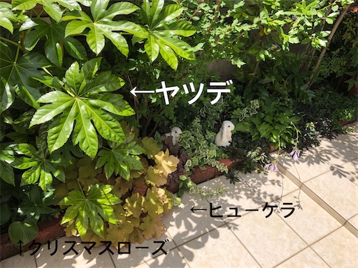 f:id:asarinokaasan:20210721214147j:image f:id:asarinokaasan:20210721214147j:image