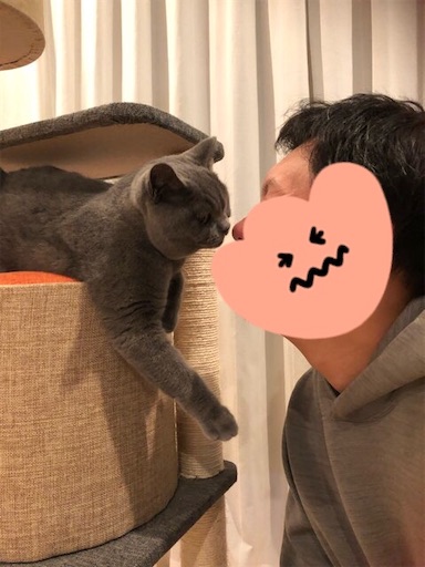 f:id:asarinokaasan:20220310220212j:image f:id:asarinokaasan:20220310220212j:image