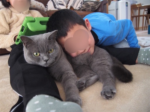 f:id:asarinokaasan:20230410122703j:image