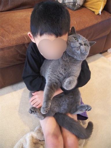f:id:asarinokaasan:20230410122722j:image