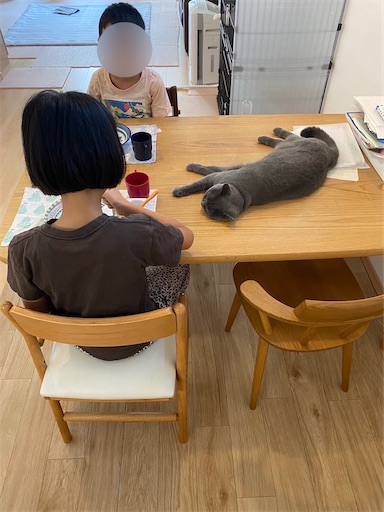 f:id:asarinokaasan:20230912222437j:image f:id:asarinokaasan:20230912222437j:image
