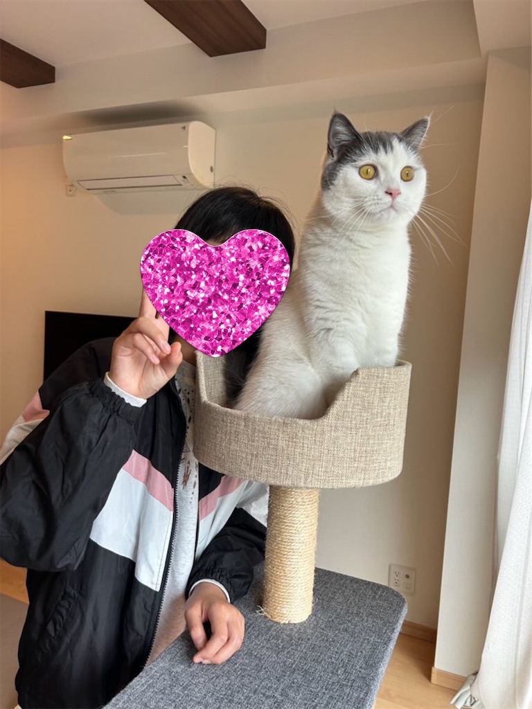 f:id:asarinokaasan:20251102210312j:image