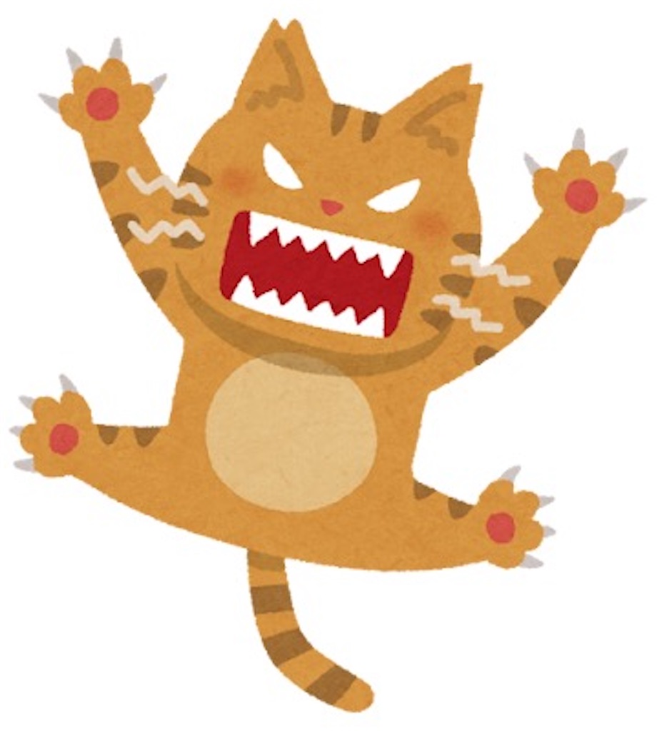 f:id:asarinokaasan:20251128103628j:image f:id:asarinokaasan:20251128103628j:image