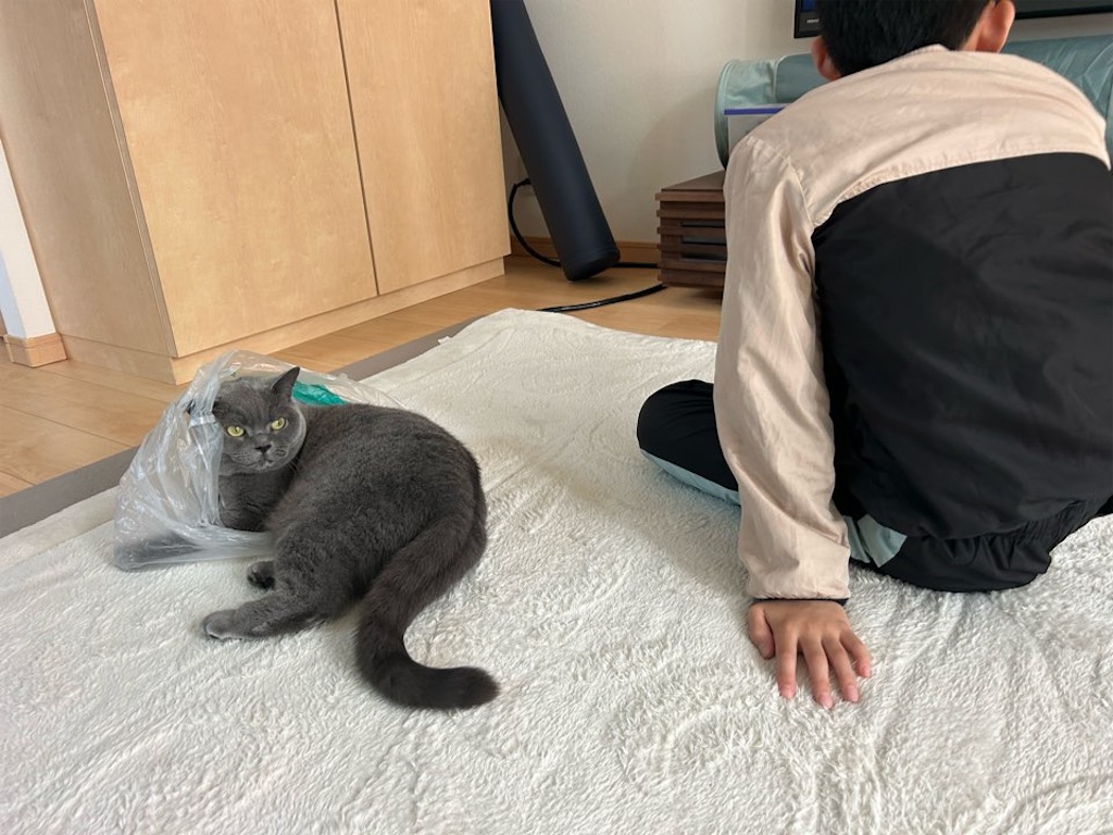 f:id:asarinokaasan:20260405175140j:image