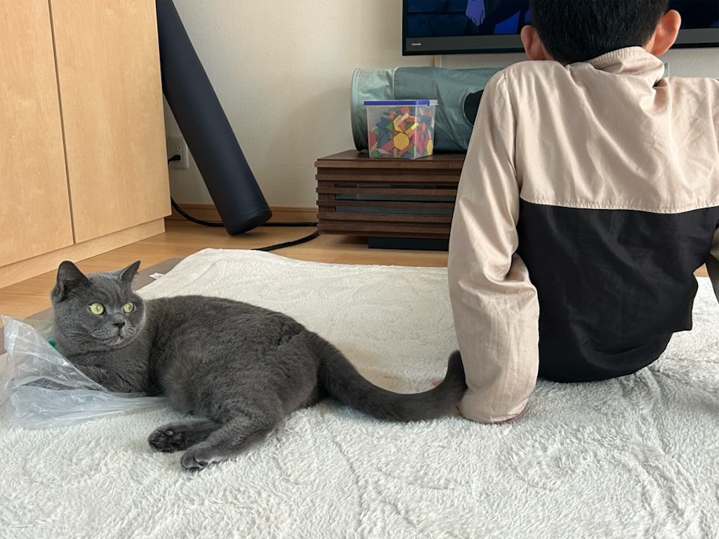 f:id:asarinokaasan:20260405175147j:image