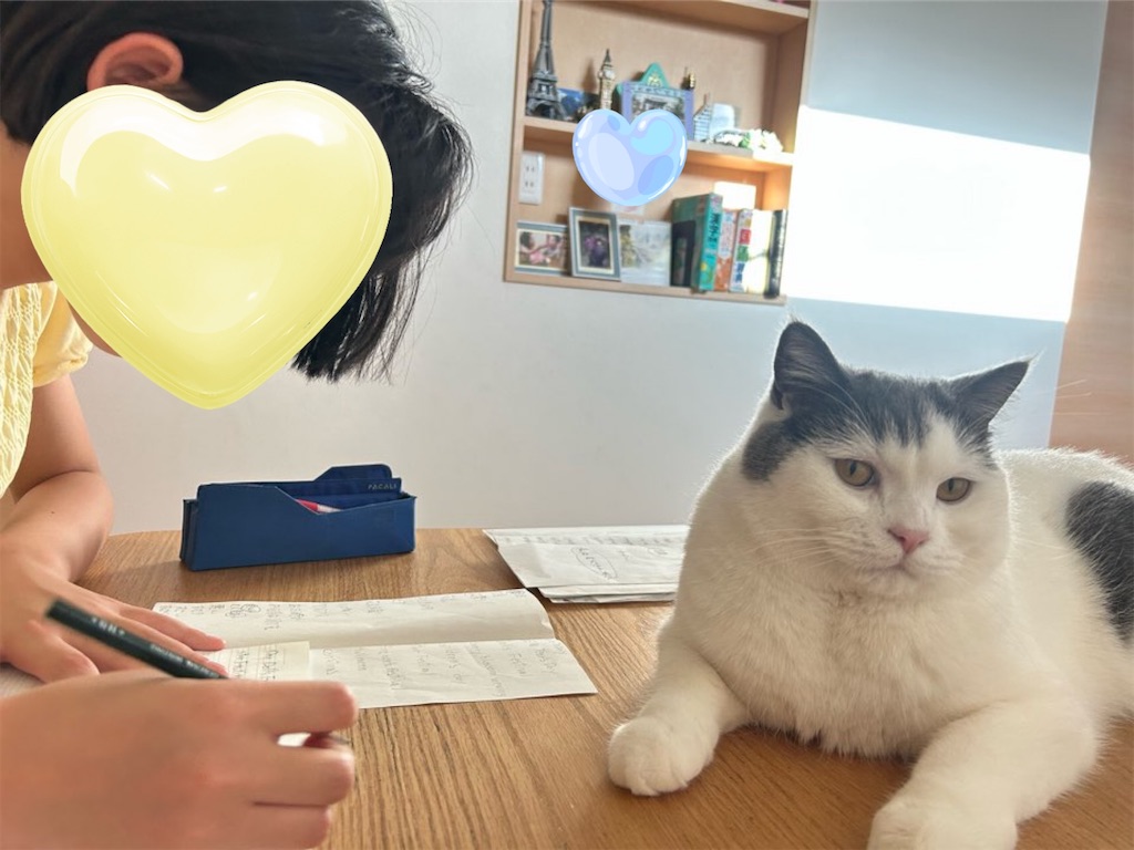 f:id:asarinokaasan:20260429210513j:image